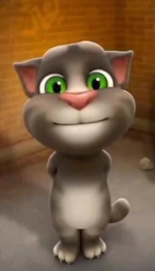 Talking tom