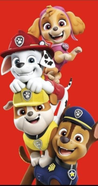 Paw patrol